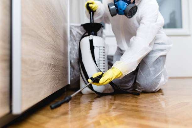Best Wildlife Control Services  in Oxon Hill, MD