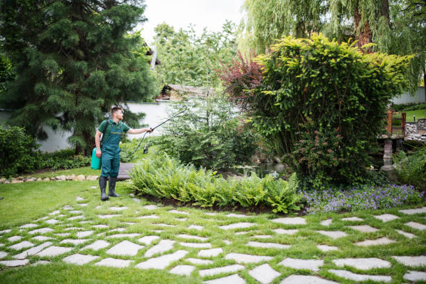 Best Local Pest Control Services  in Oxon Hill, MD