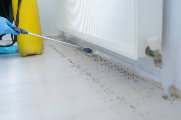 Best Rat Extermination Near Me  in Oxon Hill, MD